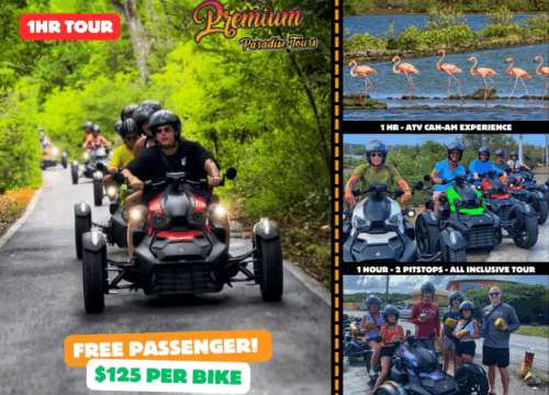 1HR Guided ATV Can-am Experience - Curacao - Flamingos
