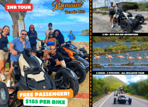 2HR Guided ATV Can-am Adventure Curacao | Grote knip - Flamingos